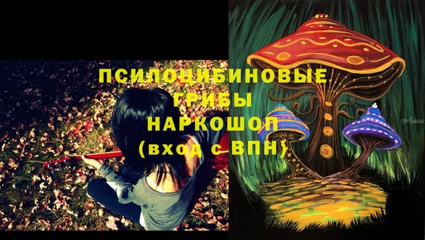 соль курить ск Зерноград