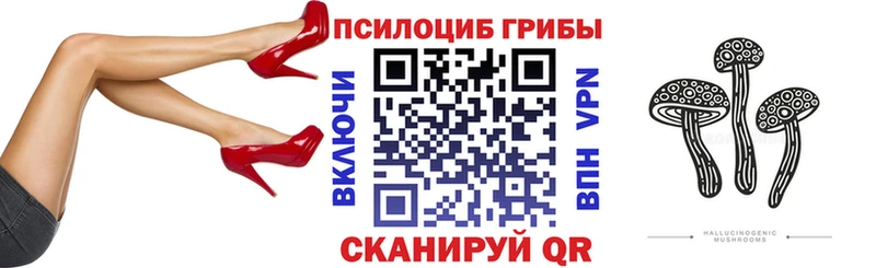 Псилоцибиновые грибы Magic Shrooms  Купить  Дзержинск 